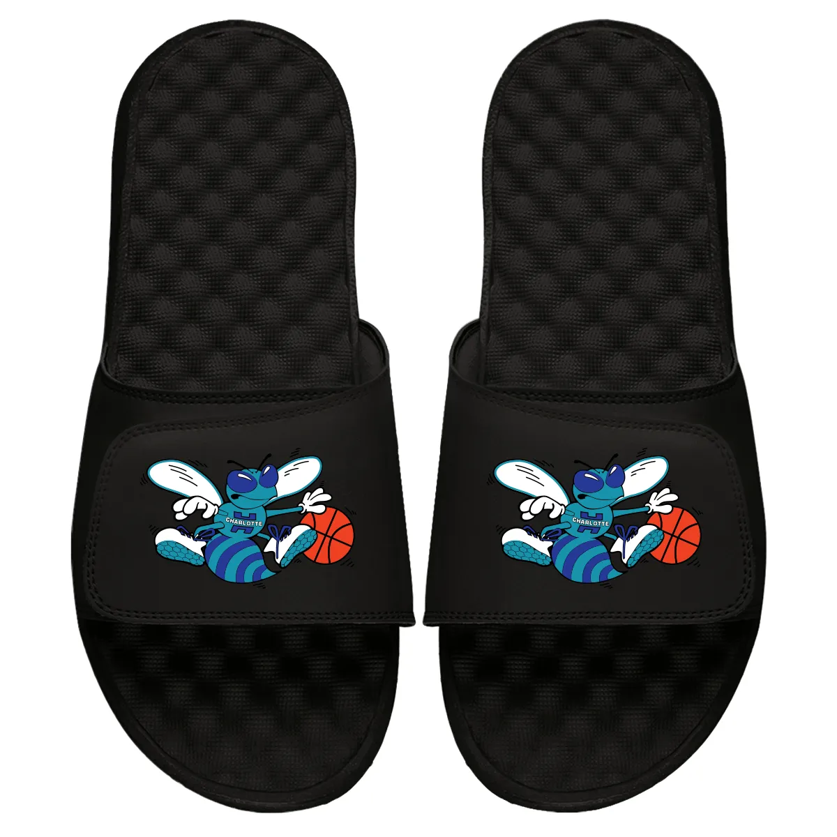 Charlotte Hornets HWC Alternative Slides