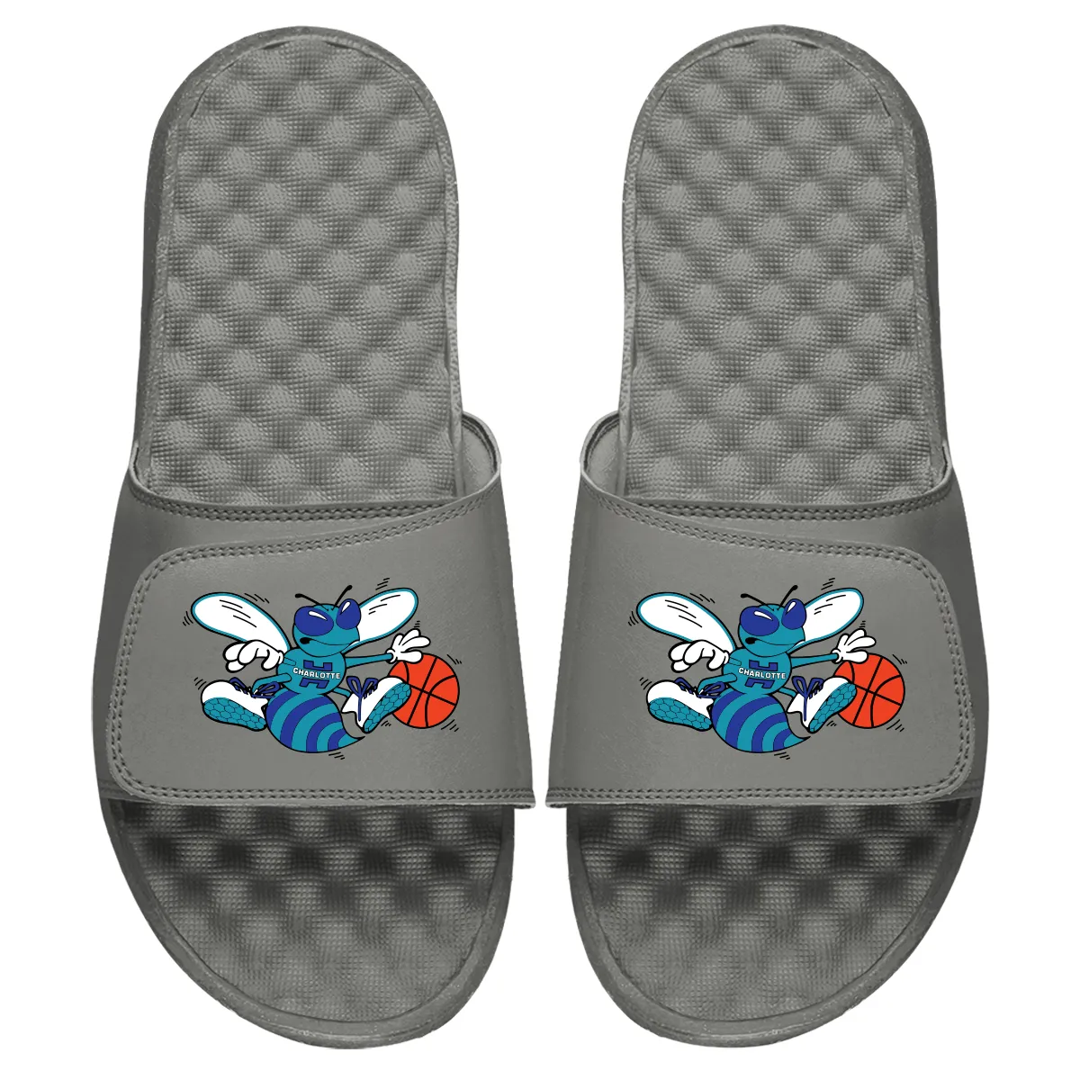 Charlotte Hornets HWC Alternative Slides